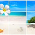 Vá ao paraíso caribenho de Aruba pagando apenas R$ 1.068 (ida+volta)! São diversas opções para viajar entre a última semana de janeiro/14 até o mês de maio/14!
