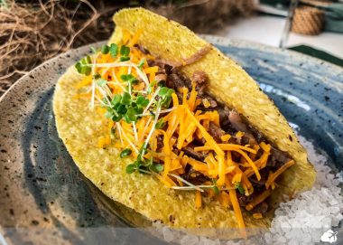 tacos mexicanos é um dos pratos de mais sucesso do México