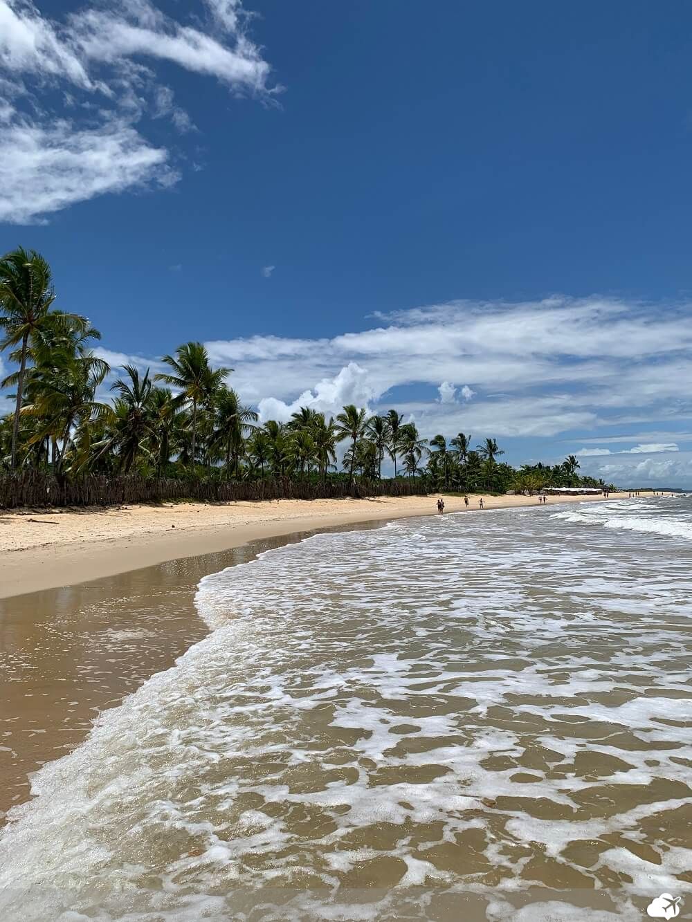 vista da praia dos coqueiros com onda quebrando na areia
