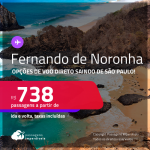 Passagens para <strong>FERNANDO DE NORONHA</strong>! A partir de R$ 738, ida e volta, c/ taxas!