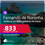 Passagens para <strong>FERNANDO DE NORONHA</strong>! A partir de R$ 833, ida e volta, c/ taxas!