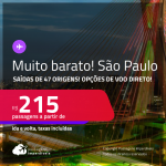Continua! Muito barato! Passagens para <strong>SÃO PAULO</strong>! A partir de R$ 215, ida e volta, c/ taxas! Opções de VOO DIRETO!
