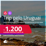 Trip pelo <strong>URUGUAI</strong>! Chegue por <strong>Montevideo</strong>, e vá embora por <strong>Punta del Este</strong>, ou vice-versa! A partir de R$ 1.200, todos os trechos, c/ taxas!