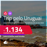 <strong>Trip pelo Uruguai! </strong>Chegue por <strong>MONTEVIDEO</strong>, e vá embora por <strong>PUNTA DEL ESTE</strong>, ou vice-versa! A partir de R$ 1.134, todos os trechos, c/ taxas! Opções de VOO DIRETO!