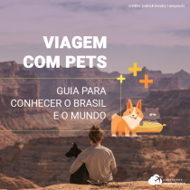 Guia para viajar com pets pelo Brasil e o mundo