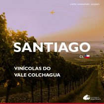 Conheça as vinícolas do Vale Colchagua, no Chile