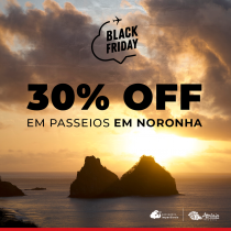 Black Friday: passeios em Fernando de Noronha com 30% de desconto