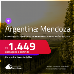 Passagens convencionais para conhecer as vinícolas de <strong>MENDOZA</strong>! A partir de R$ 1.449, ida e volta, c/ taxas! Datas para viajar até Maio/24!