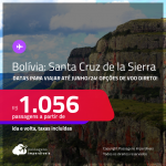Passagens para a <strong>BOLÍVIA: Santa Cruz de la Sierra</strong>! A partir de R$ 1.056, ida e volta, c/ taxas! Datas para viajar até Junho/24! Opções de VOO DIRETO!