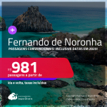 Passagens <strong>CONVENCIONAIS </strong>para <strong>FERNANDO DE NORONHA</strong>! A partir de R$ 981, ida e volta, c/ taxas! Inclusive datas em 2023!