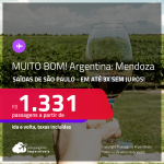 MUITO BOM!!! Passagens para a <strong>ARGENTINA: Mendoza</strong>! A partir de R$ 1.331, ida e volta, c/ taxas! Em até 3x SEM JUROS!