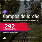 Programe sua viagem para Campos do Jordão! Passagens para <strong>SÃO PAULO</strong>! A partir de R$ 292, ida e volta, c/ taxas! Datas até Dezembro/24!