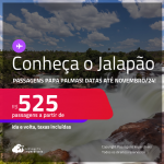Programe sua viagem para o Jalapão! Passagens para <strong>PALMAS</strong>! A partir de R$ 525, ida e volta, c/ taxas! Datas até Novembro/24!