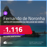 Passagens para <strong>FERNANDO DE NORONHA</strong>! A partir de R$ 1.116, ida e volta, c/ taxas! Em até 6x SEM JUROS! Datas até Dezembro/24, inclusive no Verão!
