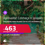Programe sua viagem para o Jalapão! Passagens para <strong>PALMAS</strong>! A partir de R$ 463, ida e volta, c/ taxas! Datas até Dezembro/24!