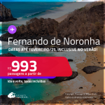Passagens para <strong>FERNANDO DE NORONHA</strong>! A partir de R$ 993, ida e volta, c/ taxas! Em até 3x SEM JUROS! Datas inclusive no VERÃO!