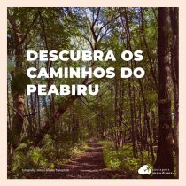 Caminhos de Peabiru: descubra trilhas imperdíveis no Paraná